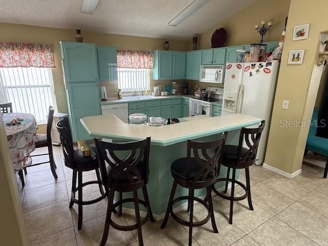 8015 INDIAN CREEK BOULEVARD, Kissimmee, FL 34747