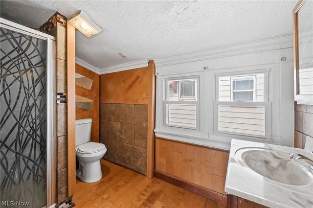 727 W Laclede Avenue, Youngstown, OH 44511