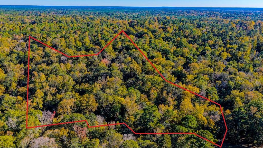 TBD Rolling Ridge Road, Goodrich, TX 77335