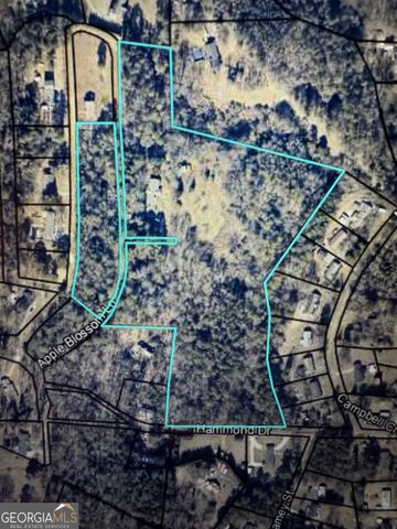 130 Apple Blossom Lane, Summerville, GA 30747