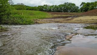 0 Ostella Rd, Cornersville, TN 37047