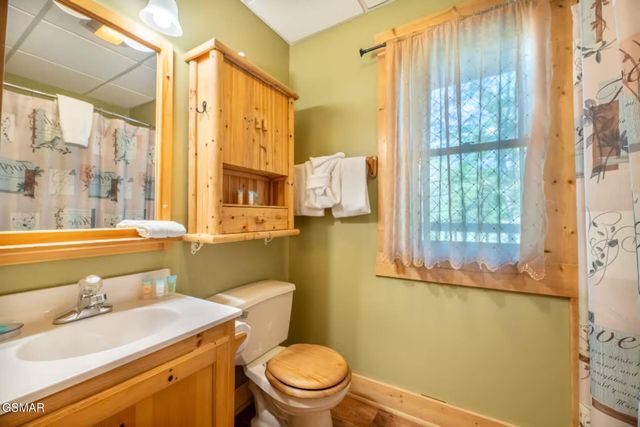 713 Harrier Court Way, Pigeon Forge, TN 37863