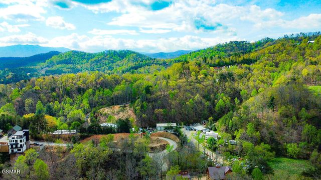 713 Harrier Court Way, Pigeon Forge, TN 37863