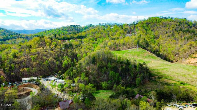 713 Harrier Court Way, Pigeon Forge, TN 37863