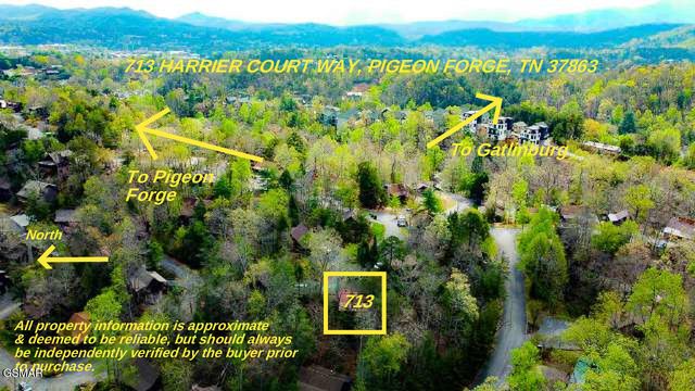 713 Harrier Court Way, Pigeon Forge, TN 37863
