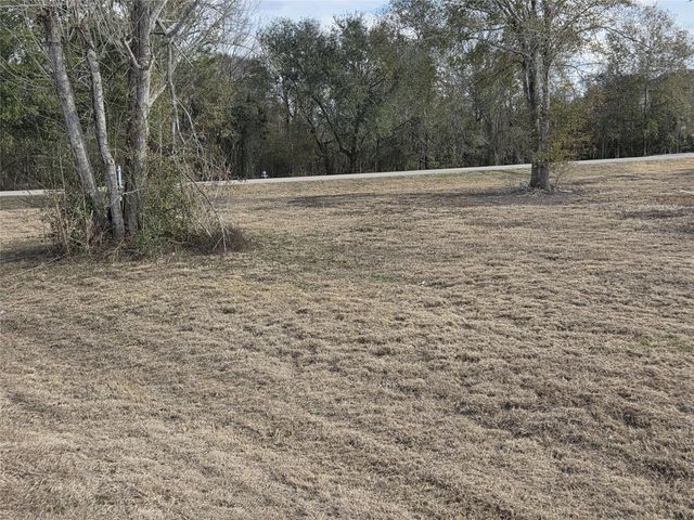 0 Texas Avenue, Arcola, TX 77583