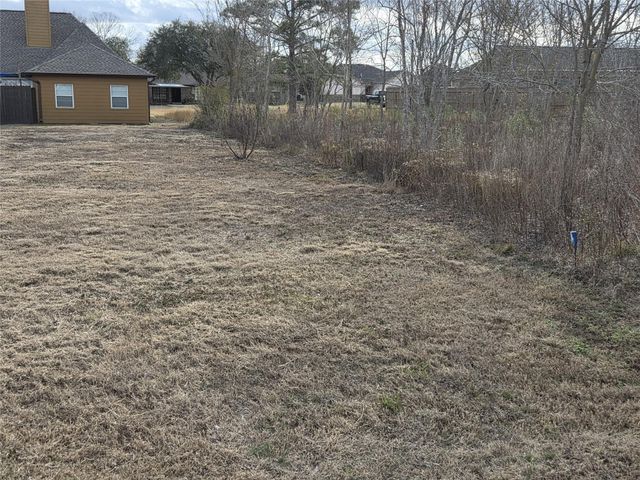 0 Texas Avenue, Arcola, TX 77583