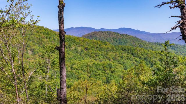 20 Laurel Cottage Lane, Black Mountain, NC 28711
