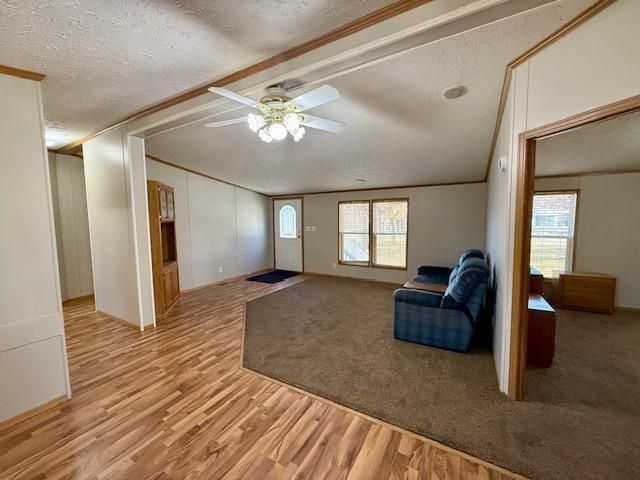 14118 Eide Road, Oak Lawn Twp, MN 56401