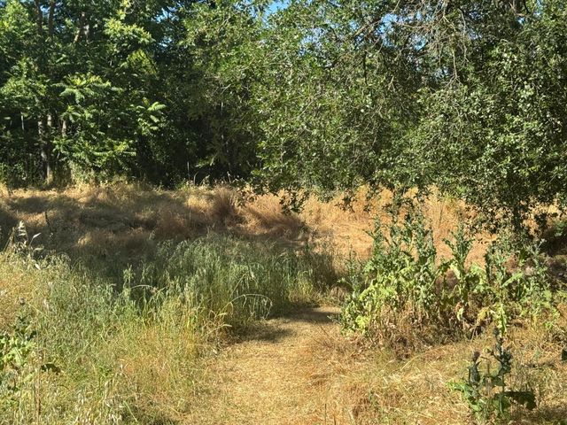 318 Preston Ave, Ione, CA 95640