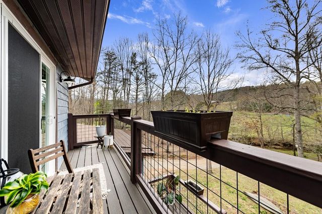 390 Sunny Brook Road, Blue Ridge, GA 30513