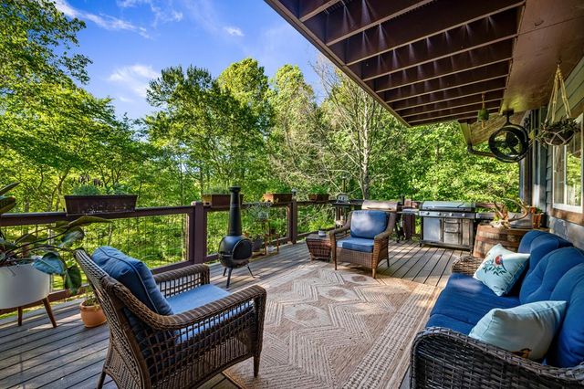390 Sunny Brook Road, Blue Ridge, GA 30513