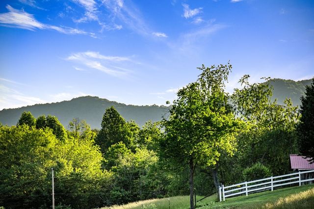 390 Sunny Brook Road, Blue Ridge, GA 30513