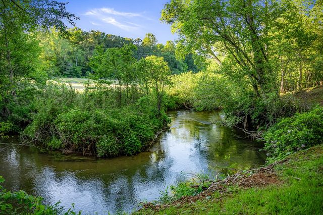 390 Sunny Brook Road, Blue Ridge, GA 30513