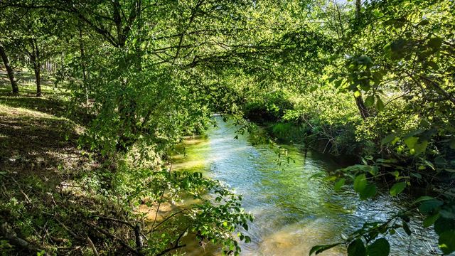 390 Sunny Brook Road, Blue Ridge, GA 30513