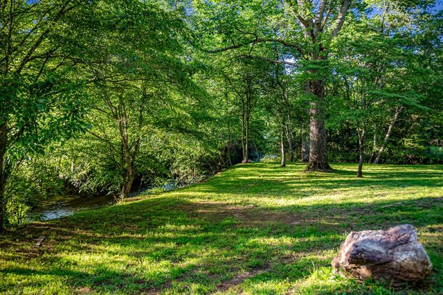 390 Sunny Brook Road, Blue Ridge, GA 30513