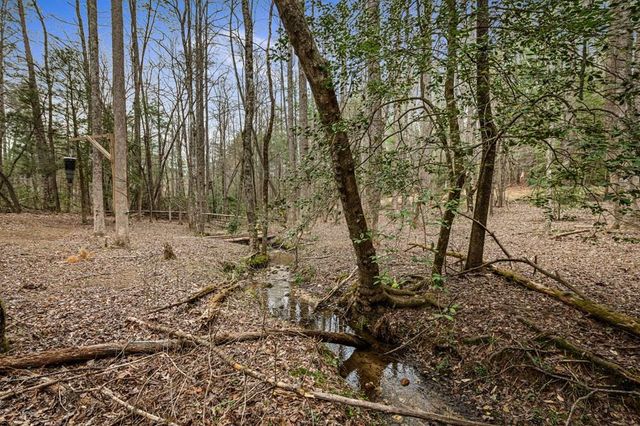 390 Sunny Brook Road, Blue Ridge, GA 30513