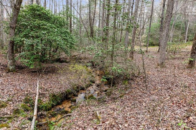 390 Sunny Brook Road, Blue Ridge, GA 30513