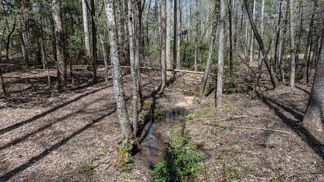 390 Sunny Brook Road, Blue Ridge, GA 30513