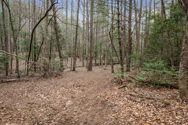 390 Sunny Brook Road, Blue Ridge, GA 30513