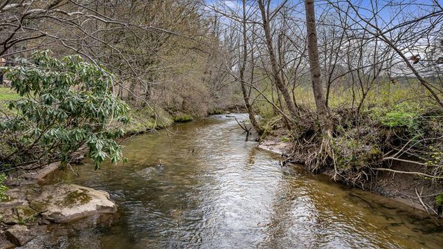 390 Sunny Brook Road, Blue Ridge, GA 30513