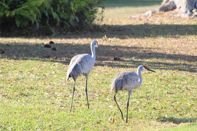 74 BELEM STREET, Punta Gorda, FL 33983