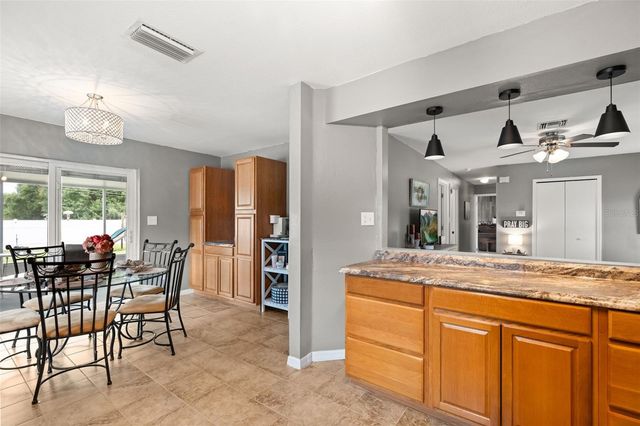 503 DOROTHY CIRCLE, Eustis, FL 32726