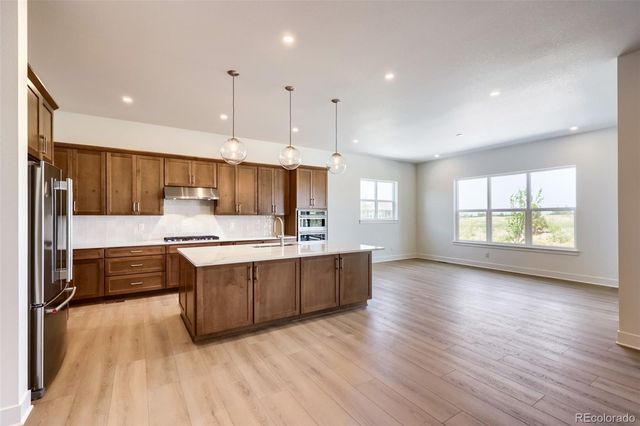 444 Agoseris Way, Castle Rock, CO 80104