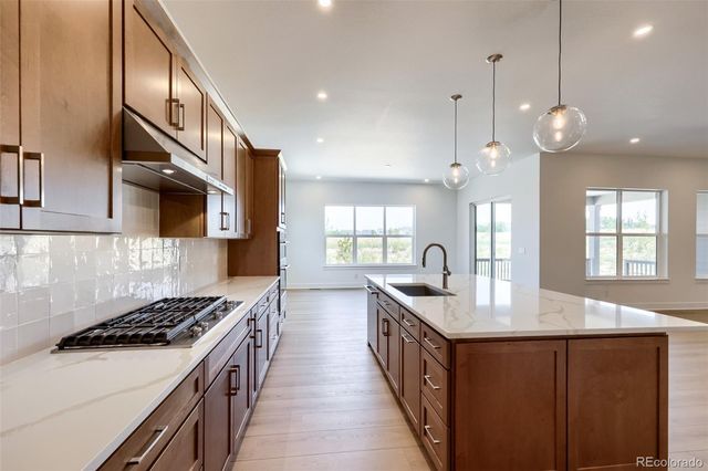 444 Agoseris Way, Castle Rock, CO 80104
