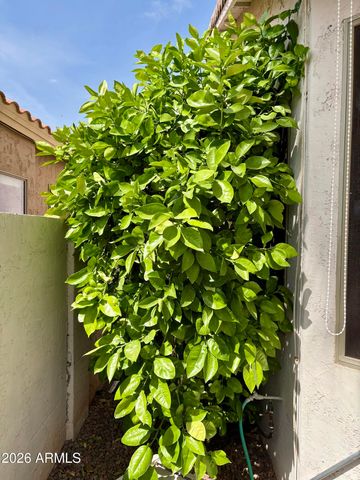 17913 N FIESTA Drive, Surprise, AZ 85374