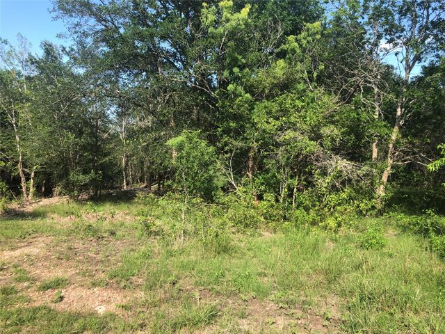 13414 Elm Grove RD, Buda, TX 78610