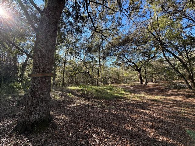 132 POND SIDE TRAIL, Hawthorne, FL 32640