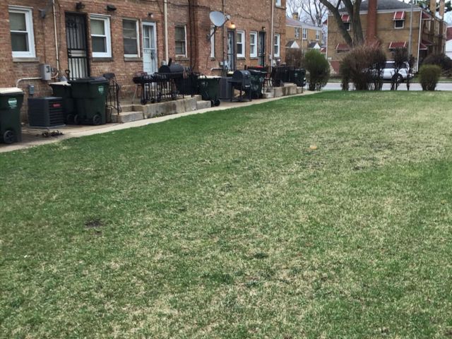 1036 Bellwood Avenue f, Bellwood, IL 60104