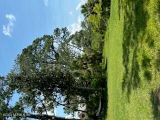 8647 MADISON Avenue, Jacksonville, FL 32208