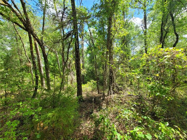 910 FERNCREEK AVENUE, Inverness, FL 34453