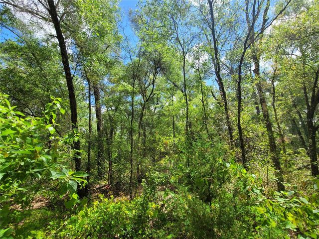 910 FERNCREEK AVENUE, Inverness, FL 34453