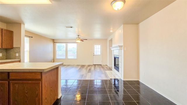 12453 Peak Circle, Frisco, TX 75035