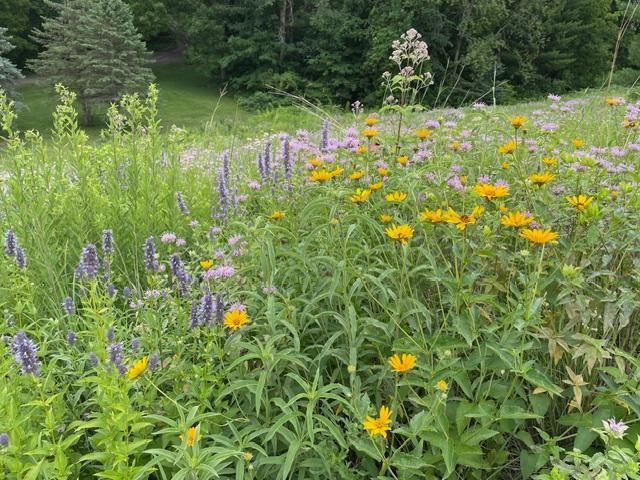 5680 Endwood Trail, Northfield, MN 55057