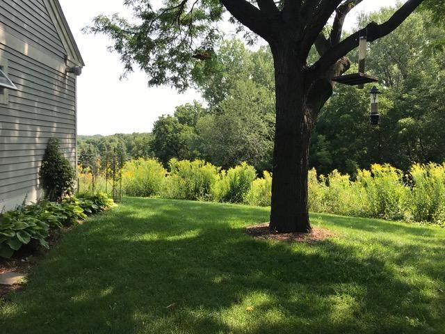 5680 Endwood Trail, Northfield, MN 55057