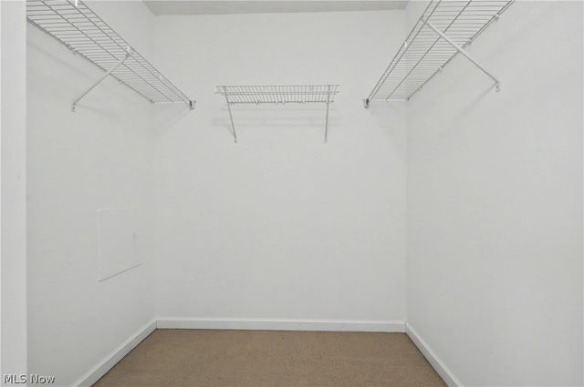 1246 Marsh Fern Lane, Akron, OH 44312