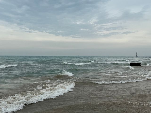 5455 N Sheridan Road 3506, Chicago, IL 60640