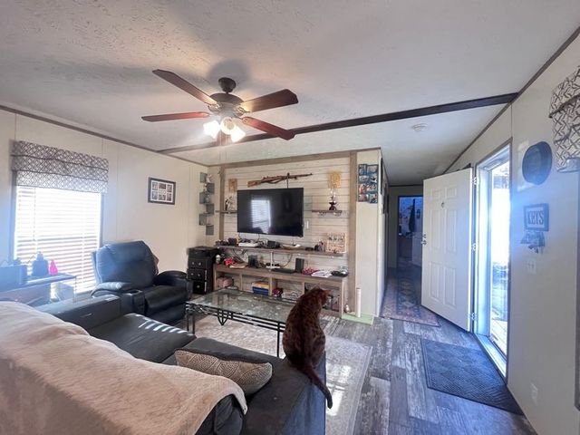 171 Tyler Rd, Ellijay, GA 30540