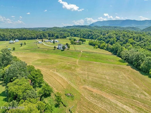 1531 Ellejoy Rd, Seymour, TN 37865