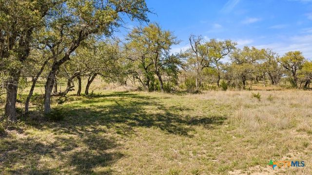 Lot 19 Stone Ridge Mountain Drive, Round Mountain, TX 78663