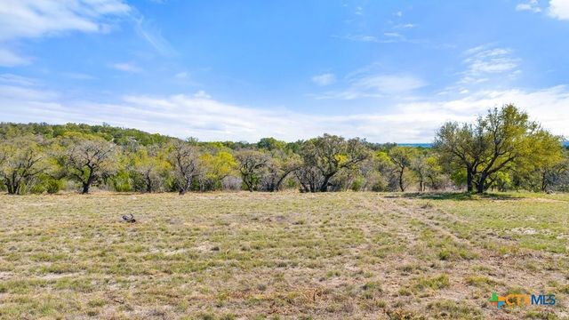 Lot 19 Stone Ridge Mountain Drive, Round Mountain, TX 78663