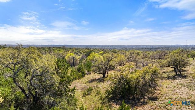 Lot 19 Stone Ridge Mountain Drive, Round Mountain, TX 78663