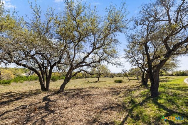 Lot 19 Stone Ridge Mountain Drive, Round Mountain, TX 78663