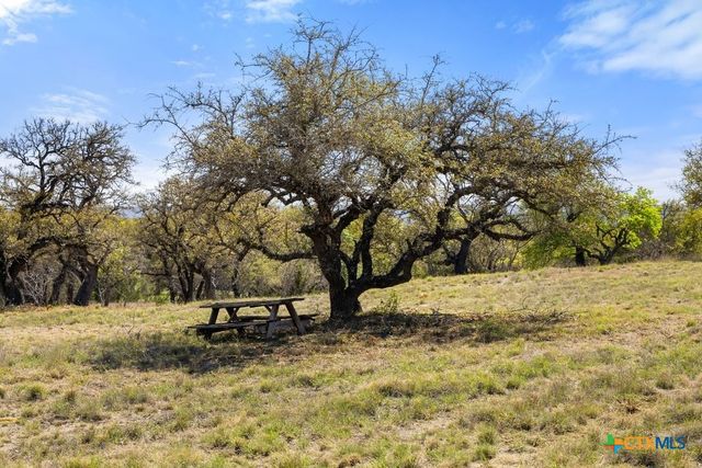 Lot 19 Stone Ridge Mountain Drive, Round Mountain, TX 78663