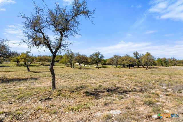 Lot 19 Stone Ridge Mountain Drive, Round Mountain, TX 78663