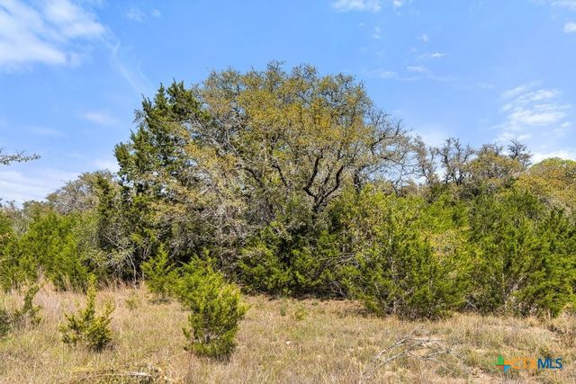 Lot 19 Stone Ridge Mountain Drive, Round Mountain, TX 78663